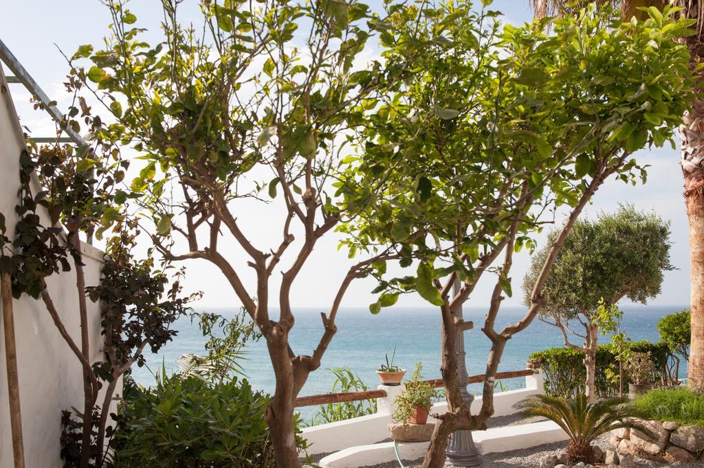 Lisca Bianca Tropea Bed & Breakfast Eksteriør bilde